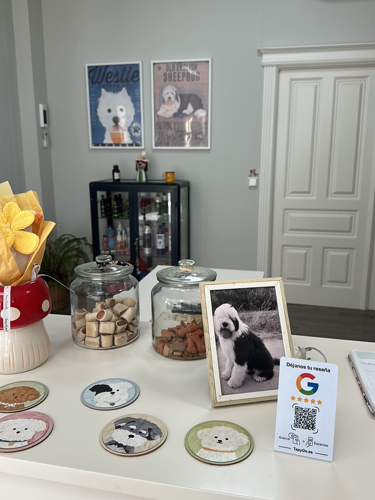 La placa TapyGo sobre el mostrador de una peluquería canina, entre tarros de galletas para perro, posavasos con perros pintados y una foto enmarcada de un bobtail.